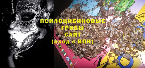 героин Лагань