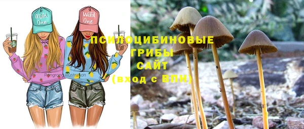 альфа пвп Ладушкин