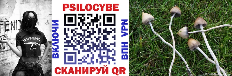 Псилоцибиновые грибы MAGIC MUSHROOMS где купить наркотик Онега